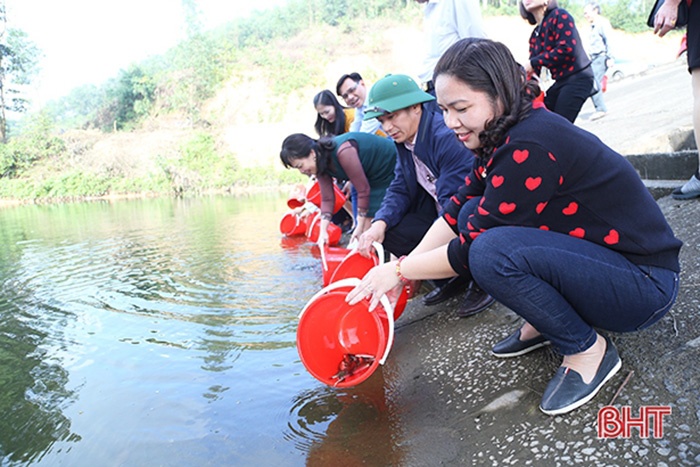 thả cá phóng sinh